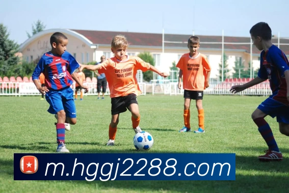 皇冠国际hg全站App